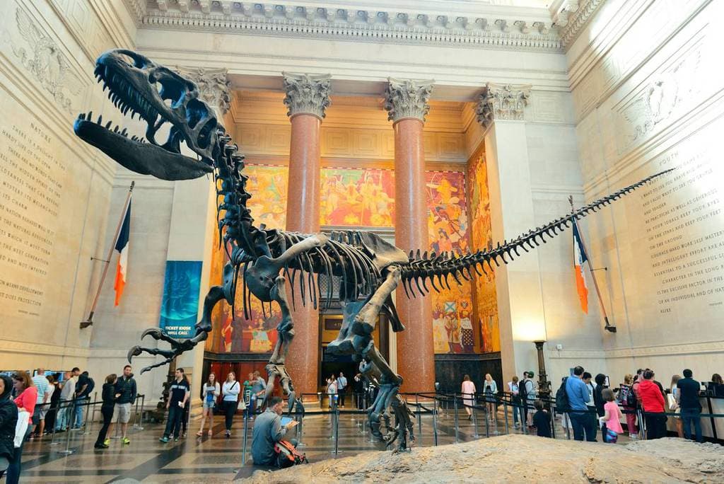 The Best Museums to Explore in the United States
